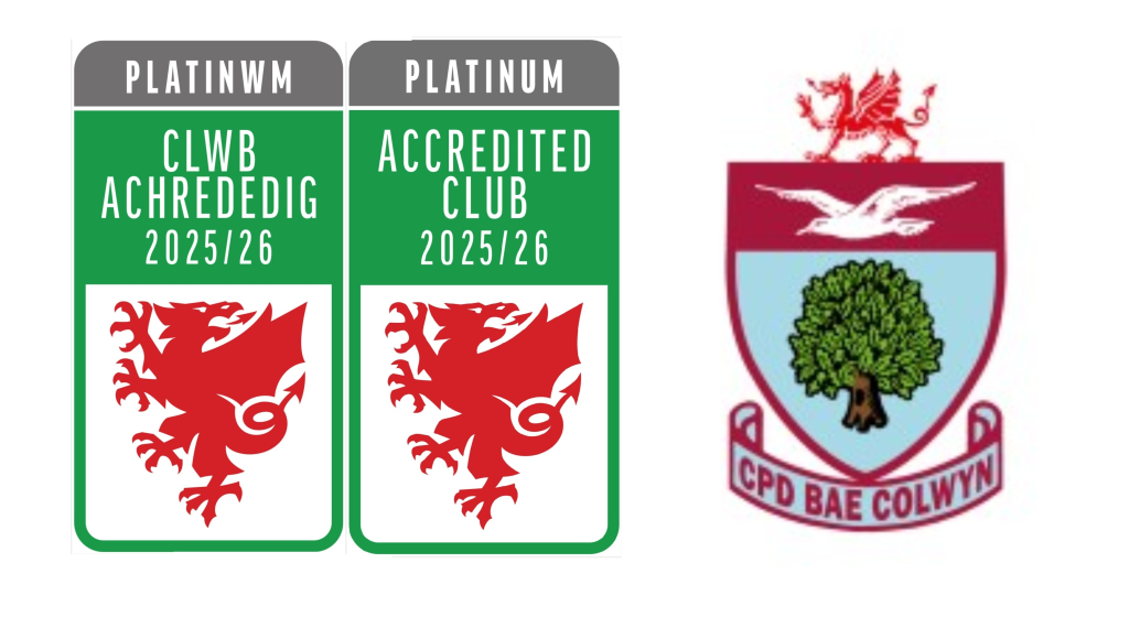 FAW Platinum Accreditation achieved 2 Image 7