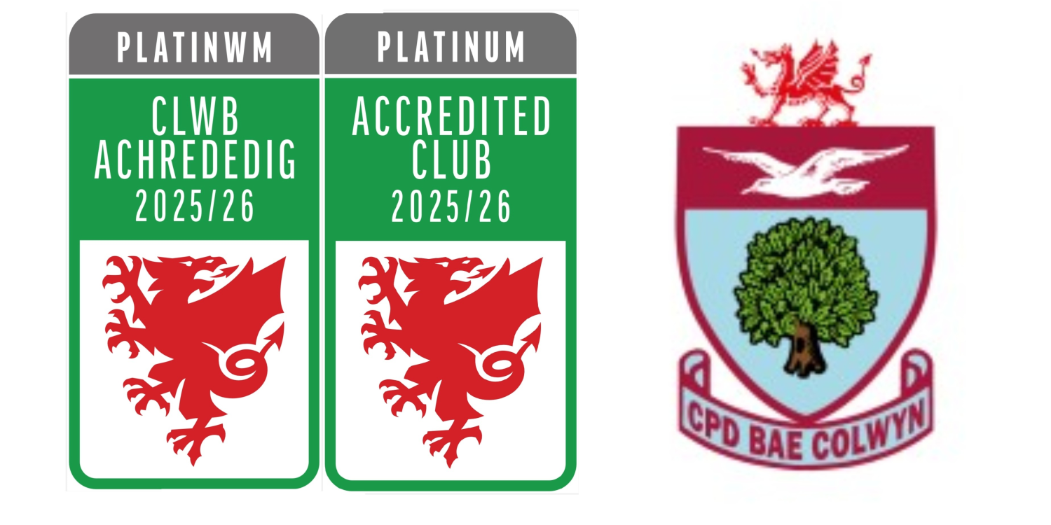 FAW Platinum Accreditation achieved 1 Image 7