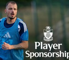 sponsorship