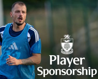 sponsorship